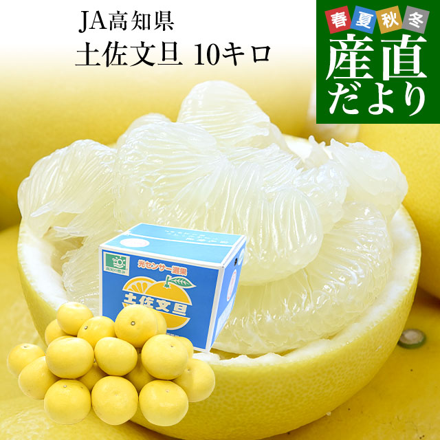 文旦　柑橘　92 土佐文旦 | みかん大事典 | みかんのことなら「のま果樹園