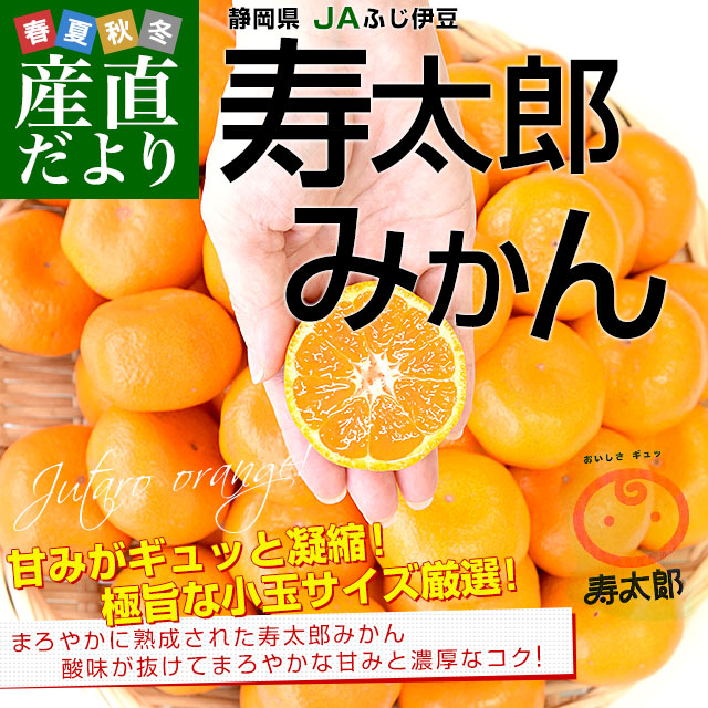 静岡県産 JAふじ伊豆 西浦柑橘出荷部会 寿太郎みかん 約2.5キロ 小玉 S 