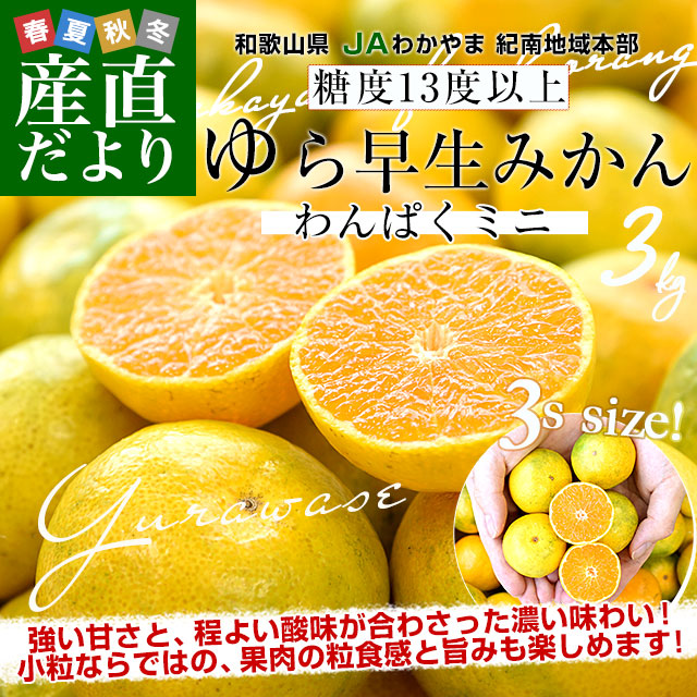 和歌山県 JAわかやま 紀南地域本部 糖度13度以上厳選みかん 超小粒