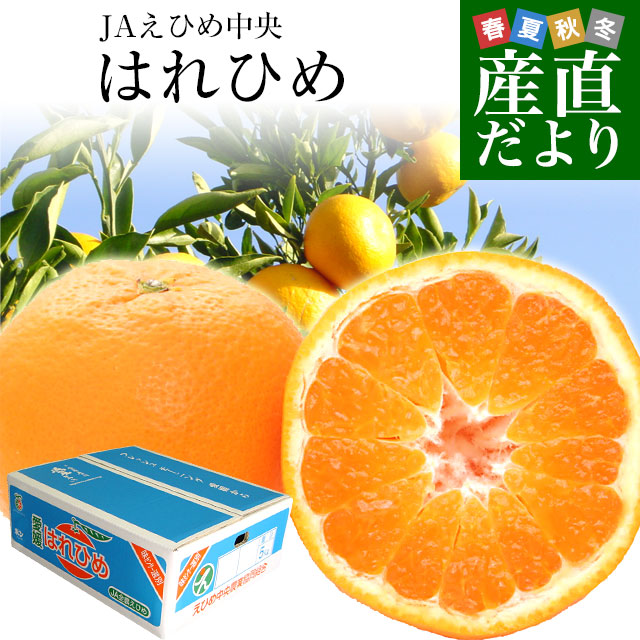 愛媛県より産地直送 JAえひめ中央 はれひめ LからMサイズ 約5キロ(35玉から50玉前後)　送料無料 オレンジ　柑橘類　みかん