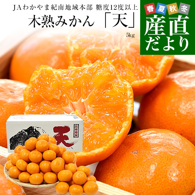 和歌山県 JAわかやま紀南地域本部 糖度12度以上 木熟みかん「天」等級