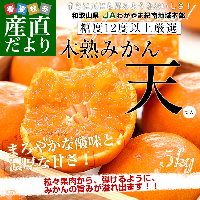 和歌山県 JAわかやま紀南地域本部 糖度12度以上 木熟みかん「天」等級