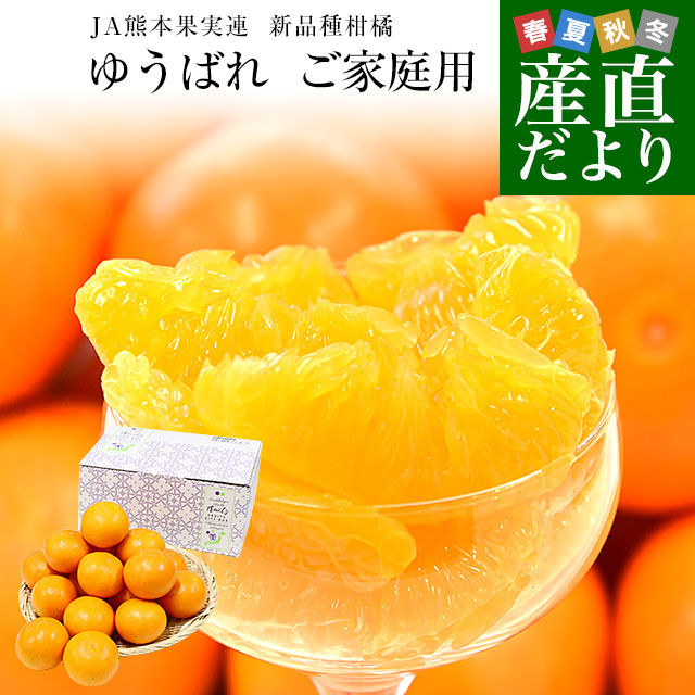 熊本県産 JA熊本果実連 新品種柑橘 ゆうばれ ご家庭用 約2.5キロ Mから 