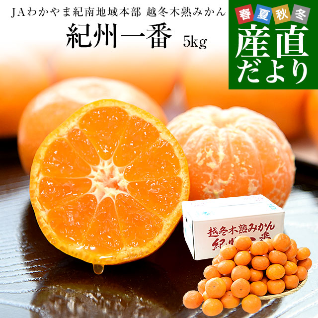 和歌山県 JAわかやま紀南地域本部 越冬木熟みかん「紀州一番」LからS