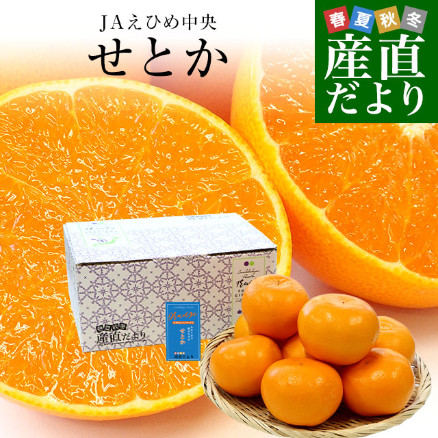 愛媛県産 JAえひめ中央 せとか 優品又は青〇以上　3LからLサイズ 約2.5キロ（7玉から12玉前後）送料無料 柑橘 オレンジ