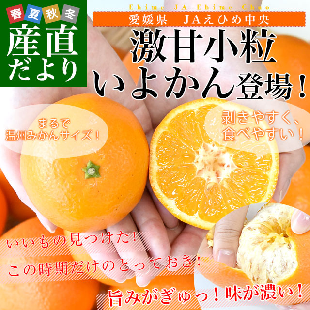 愛媛県産 JAえひめ中央 宮内いよかん 秀品 ...の詳細画像1