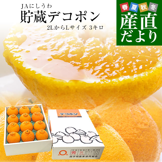 愛媛県直 JAにしうわ 貯蔵デコポン  2LからLサイズ 3キロ（12玉から15玉前後）送料無料 でこぽん 柑橘 オレンジ 西宇和｜sanchokudayori