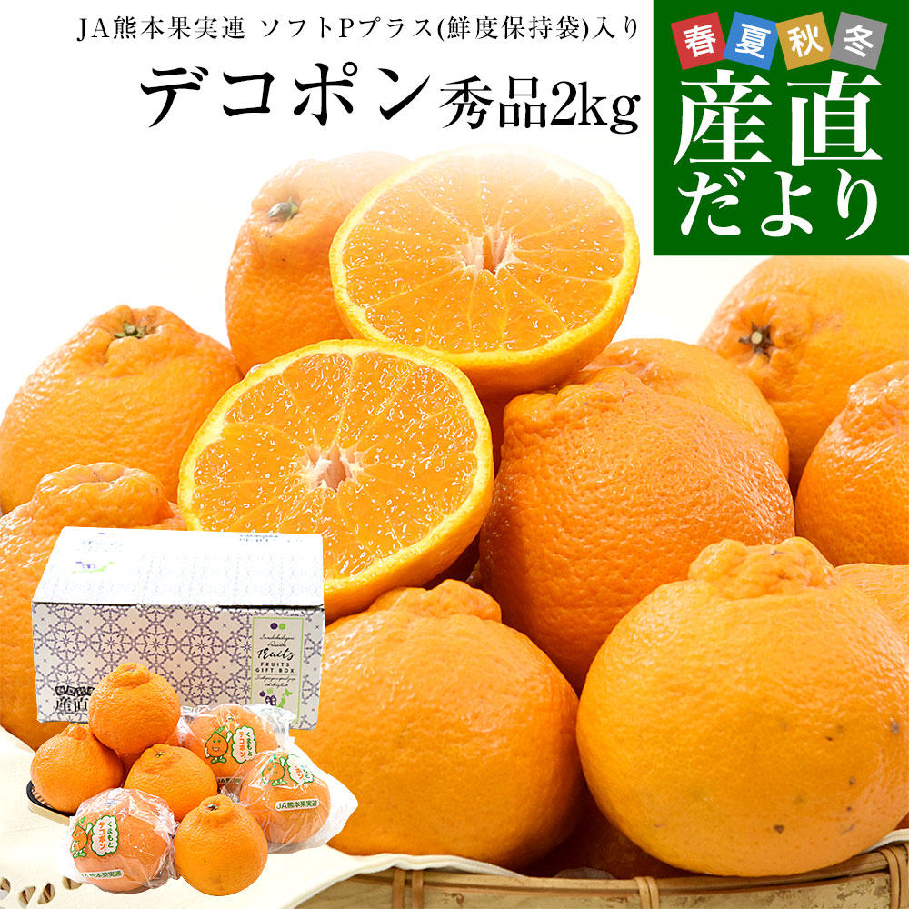 熊本県 JA熊本果実連 デコポン 秀品 約2キロ(5玉から8玉入り) ソフトP
