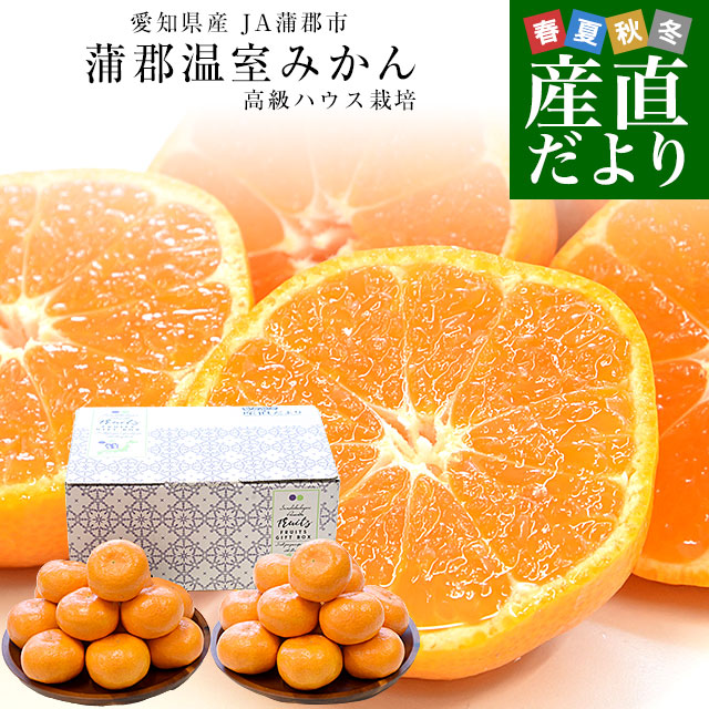 愛知県産 蒲郡温室みかん MからSサイズ 約2.4キロ(1.2キロ×2) 送料無料