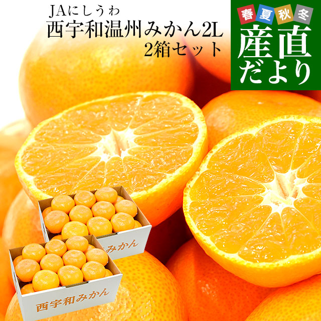 愛媛県より産地直送 JAにしうわ 西宇和温州みかん 2Lサイズ 約3キロ×2