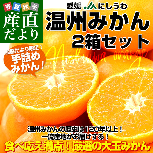 愛媛県より産地直送 JAにしうわ 西宇和温州みかん 2Lサイズ 約3キロ×2