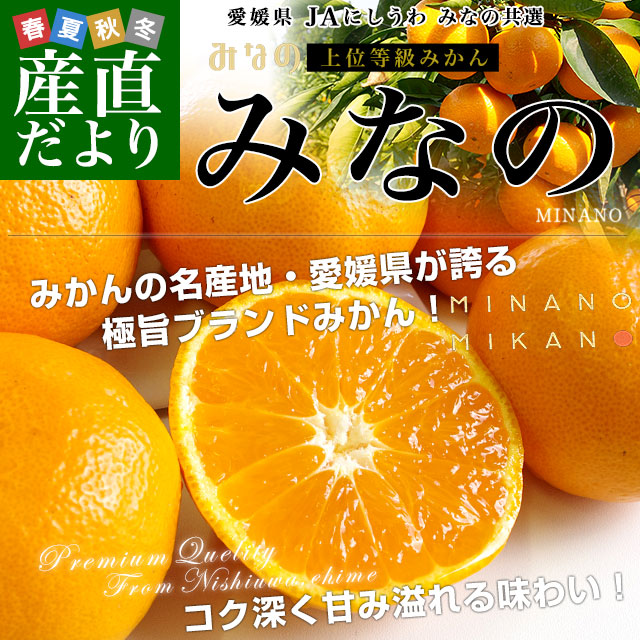 愛媛県より産地直送 JAにしうわ みなの共選 上位等級みかん「特秀品