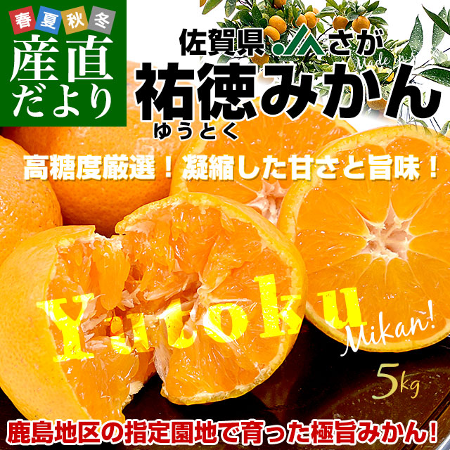 お歳暮 ギフト】佐賀県より産地直送 JAさが 祐徳(ゆうとく)みかん L