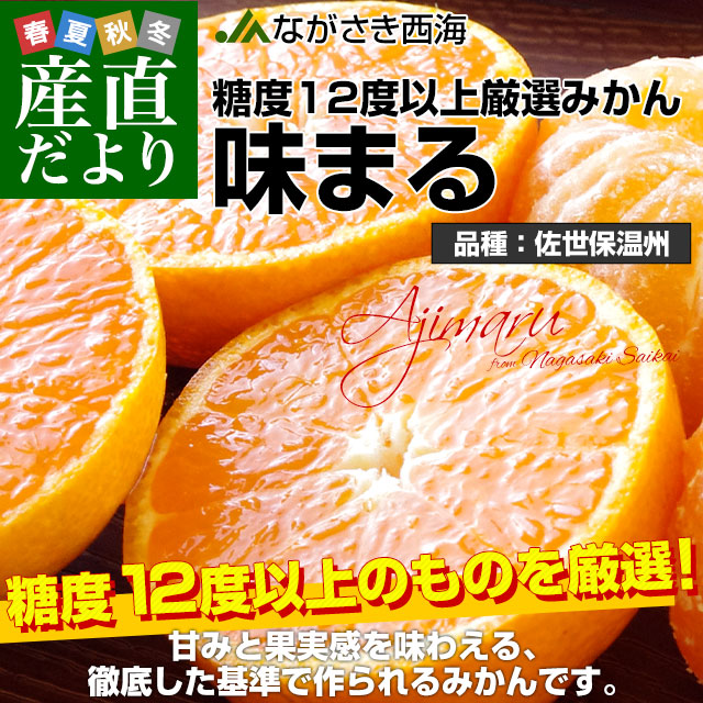 長崎県 JAながさき西海 味まる「品種：佐世保温州」 LからSサイズ 優品以上 約5キロ(40玉から60玉前後）送料無料 ミカン 蜜柑 |  | 01