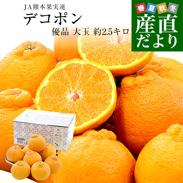 熊本県産 JA熊本果実連 デコポン 優品 2.5キロ 4Lから2Lサイズ (7玉