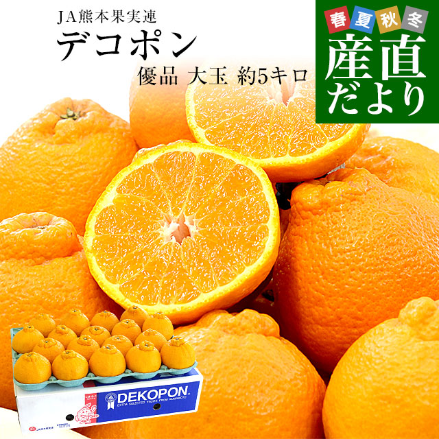 熊本県産 JA熊本果実連 デコポン 優品 5キロ 4Lから2Lサイズ (15玉から