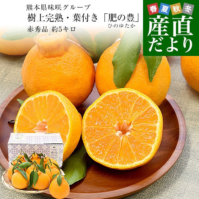 熊本県味咲グループ 樹上完熟・葉付き「肥の豊（ひのゆたか）」赤秀品