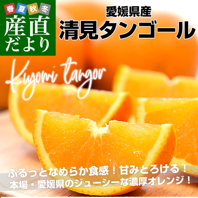 愛媛県産 にしうわフーズ 清見タンゴール ご家庭用 2LからM 愛媛県産 にしうわフーズ 清見タンゴール ご家庭用 2LからM