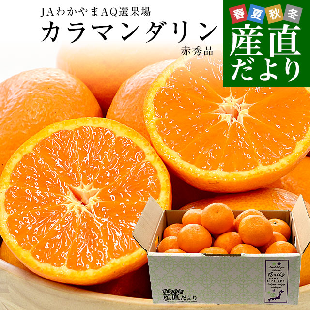 和歌山県 JAわかやまAQ選果場 カラマンダリン TOPグレード赤秀品 約2.5