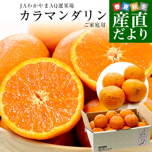 愛媛県産「紅プリンセス」優品以上 約2.5キロ2LからMサイズ(10玉から16