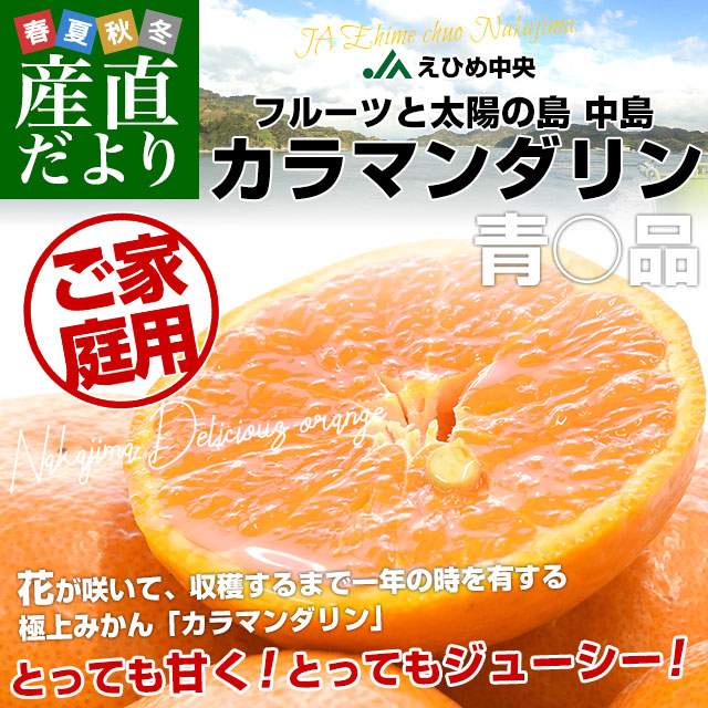 愛媛県産 JAえひめ中央 中島のカラマンダリン...の詳細画像1