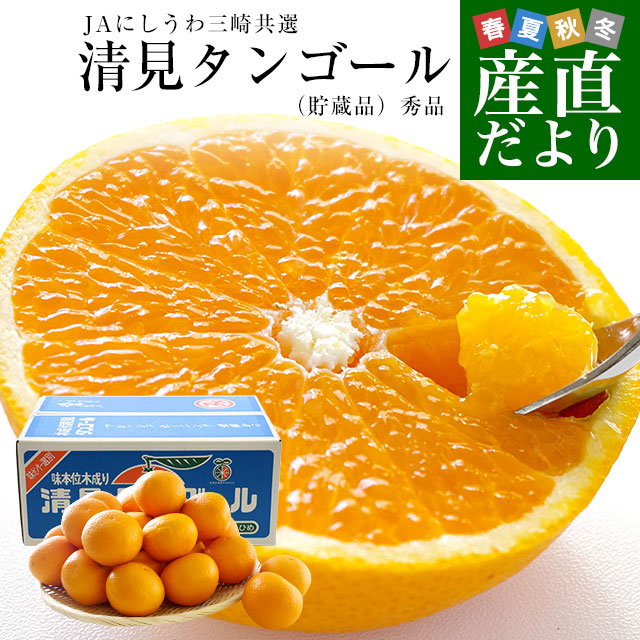 こじるん JXZ22-4.11HP NEW Model - 【公式】JUNJIN JAPAN