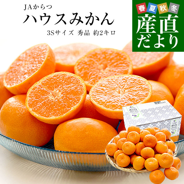 佐賀県 JAからつ ハウスみかん 小粒3Sサイズ 秀品 約2キロ（約