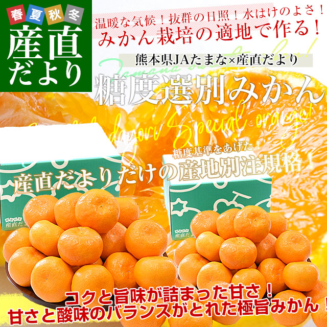 熊本県 JAたまな 糖度選別みかん 約2キロ×2箱 MからSSサイズ (合計40玉