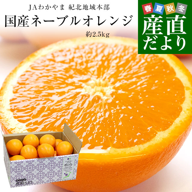 和歌山県 JAわかやま 紀北地域本部 国産ネーブルオレンジ Lから3L