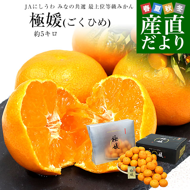 愛媛県 JAにしうわ みなの共選 最上位等級みかん「極媛(ごくひめ)」約5