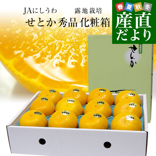 せとか 15玉の2箱セット 愛媛県より産地直送 JAにしうわ せとか 露地栽培 秀品 3Lから2Lサイズ