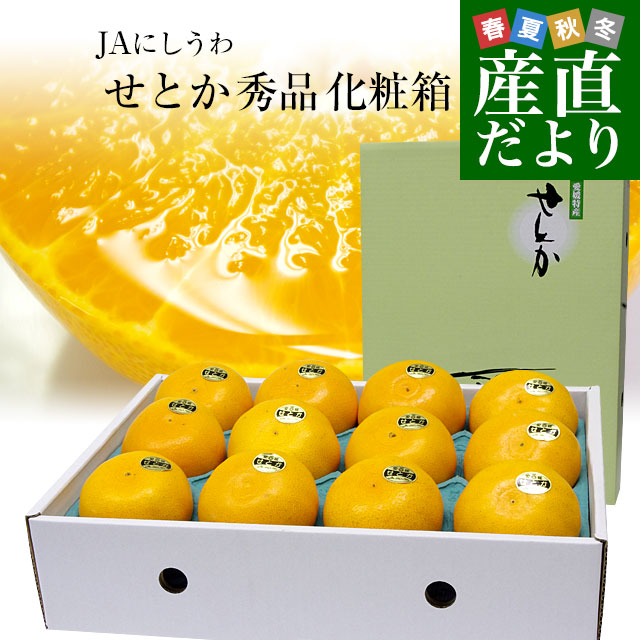 愛媛県より産地直送 JAにしうわ せとか 秀品 3Lから2Lサイズ 3キロ化粧