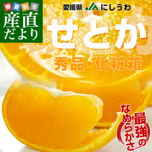 愛媛県より産地直送 JAにしうわ せとか 秀品 3Lから2Lサイズ 3キロ化粧
