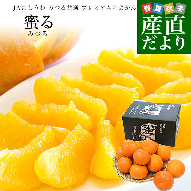 愛媛県産 JAにしうわ みつる共選 プレミアムいよかん 蜜る（みつる