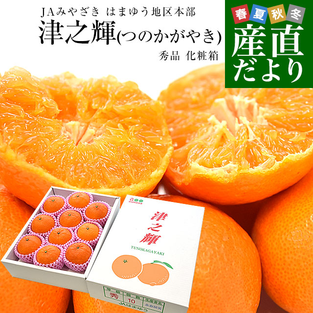 宮崎県 JAみやざき はまゆう地区本部 津之輝(つのかがやき) 秀品 化粧