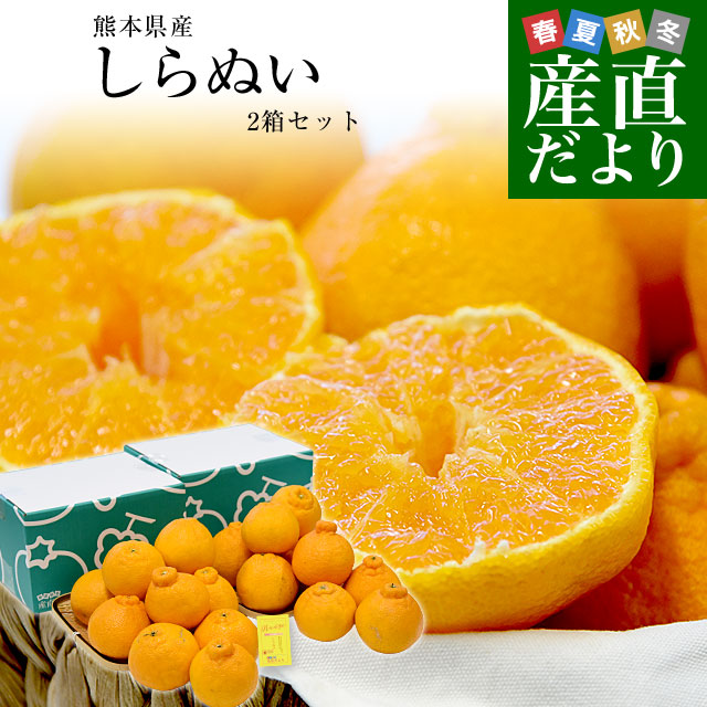 愛媛県産 JAえひめ中央 せとか 青〇品 化粧箱 4Lから2Lサイズ 約3キロ