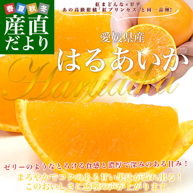 甘平 商品一覧 - 産直だより - 売れ筋通販 - Yahoo!ショッピング