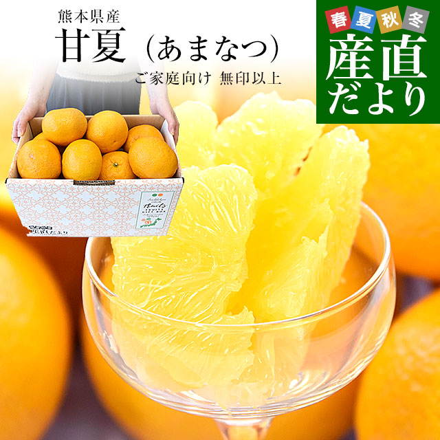 宮崎県から産地直送 JAみやざき宮崎中央地区本部 たまたま 2Lサイズ 3