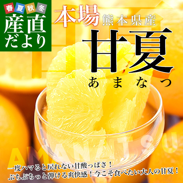 熊本県から産地直送 熊本県産 甘夏（あまなつ） ご家庭向け 無印 Mから2Lサイズ 約5キロ(合計12玉から16玉前後) 送料無料 柑橘　かんきつ 爆買 |  | 01