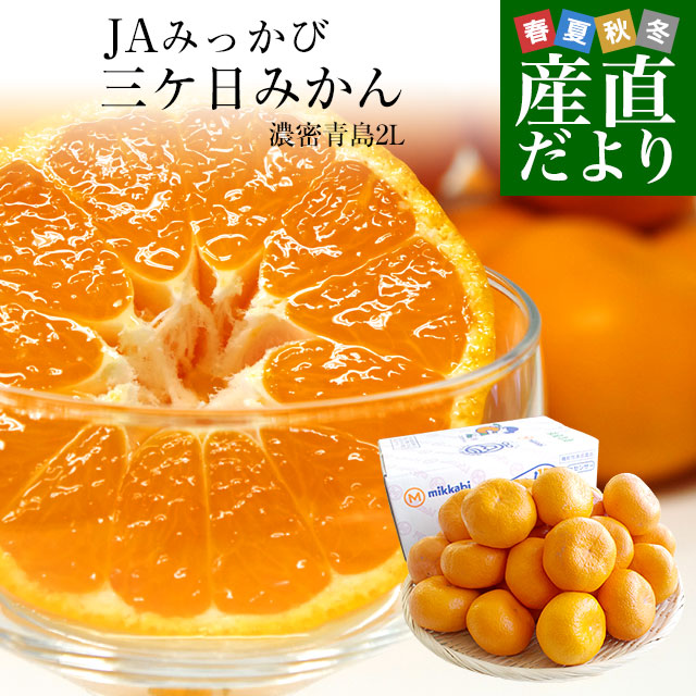 静岡県産 JAみっかび 三ヶ日みかん 濃蜜青島 2Lサイズ 優品以上 約3.5