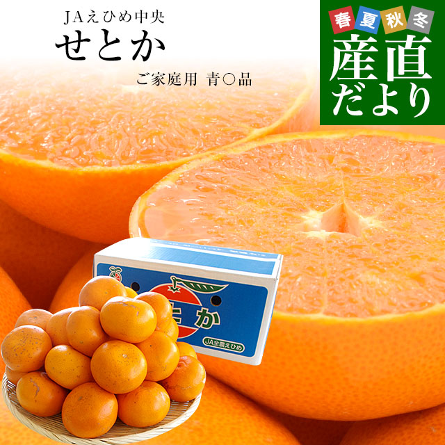 愛媛県産 JAえひめ中央 せとか ご家庭用 青〇品 3LからLサイズ 約5キロ