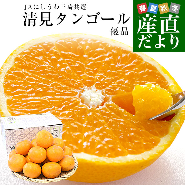 愛媛県産 JAにしうわ三崎共選 清見タンゴール 優品 3LからLサイズ 約3