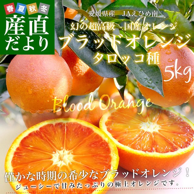 04.せとかLM5キロ＆ブラッドオレンジ5キロ 愛媛料金 愛媛県より産地直送 JAえひめ南 ブラッドオレンジ タロッコ種 優品 5
