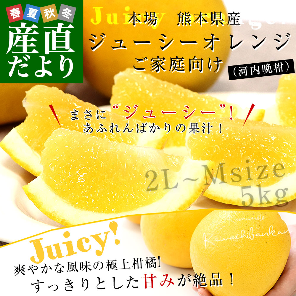 熊本県から産地直送 個選 ジューシーオレンジ(...の詳細画像1