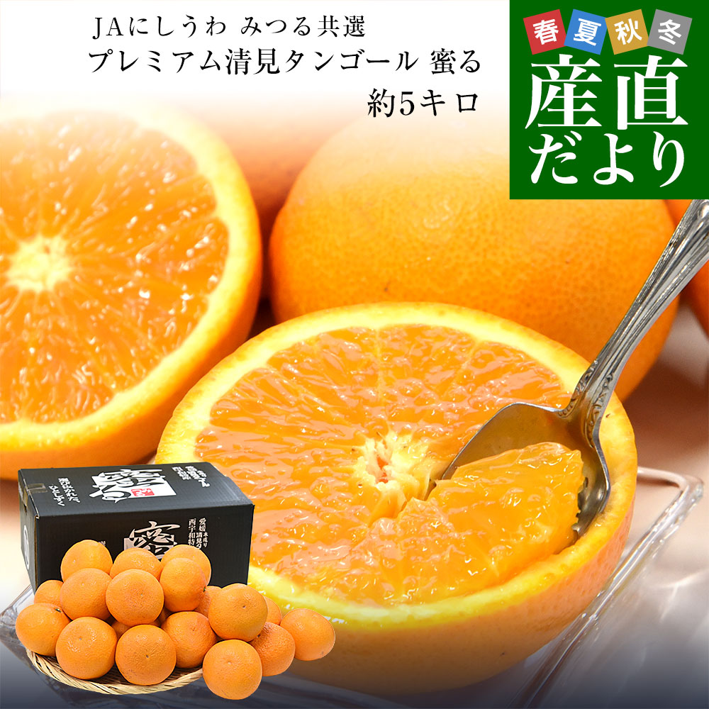 愛媛県産 JAにしうわ みつる共選 プレミアム清見タンゴール 蜜る 秀品