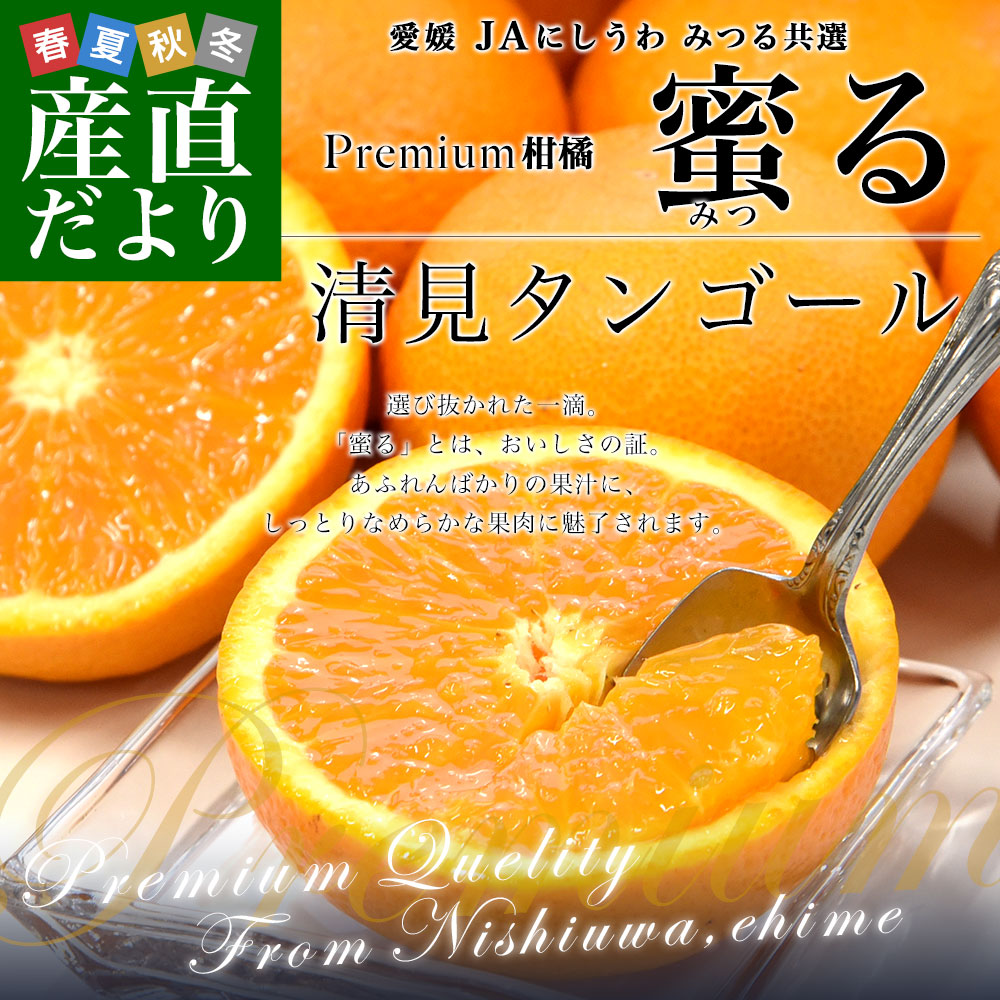 愛媛県産 JAにしうわ みつる共選 プレミアム清見タンゴール 蜜る 秀品
