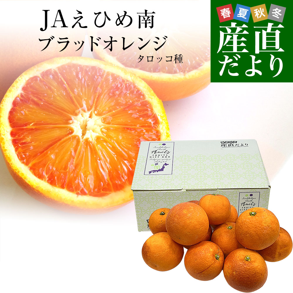 愛媛県産 JAえひめ南 ブラッドオレンジ タロッコ種 優品 2Lから3L