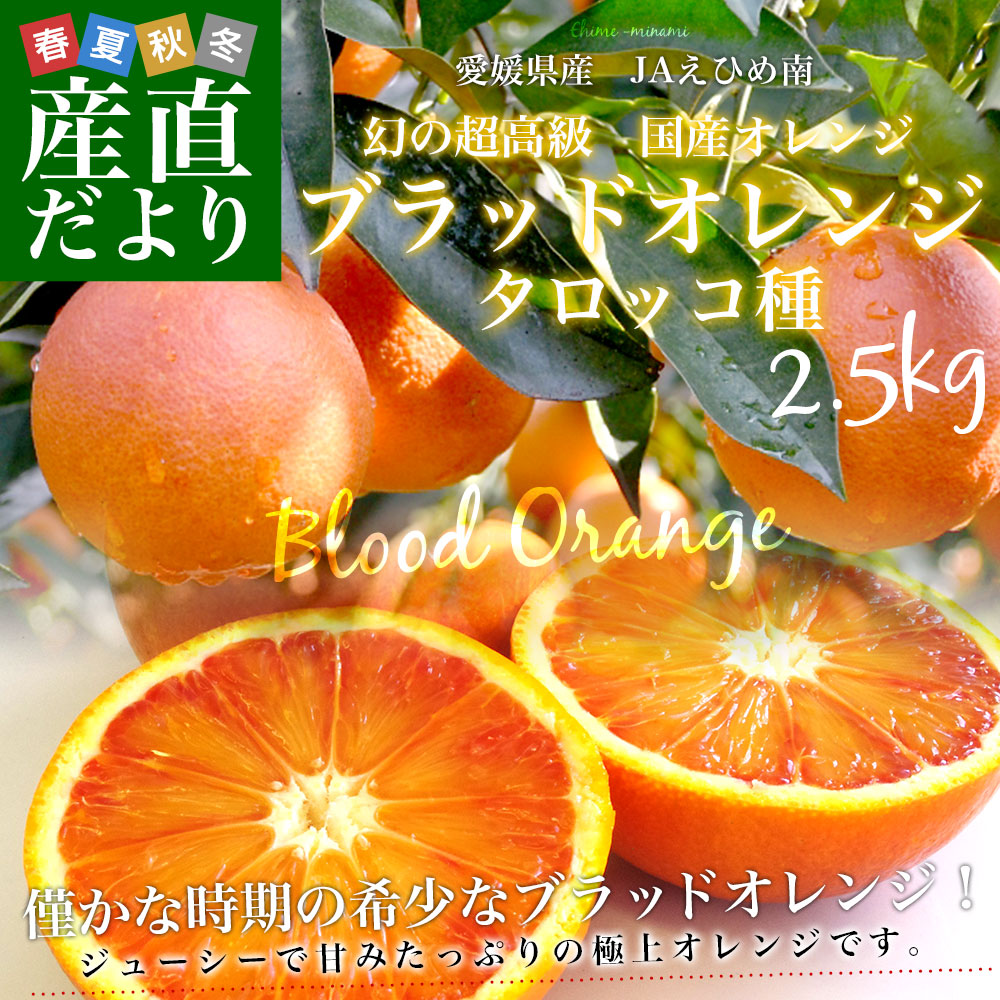 愛媛県産 JAえひめ南 ブラッドオレンジ タロッコ種 優品 2Lから3L