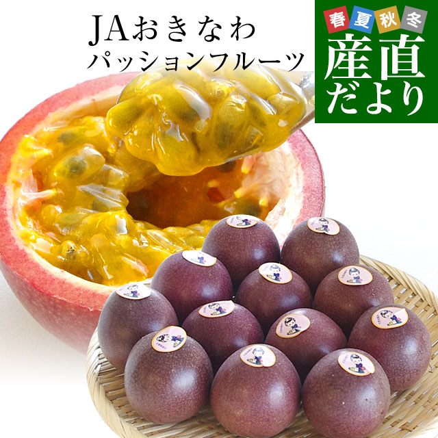 パッションフルーツ 沖縄産 600g - 果物