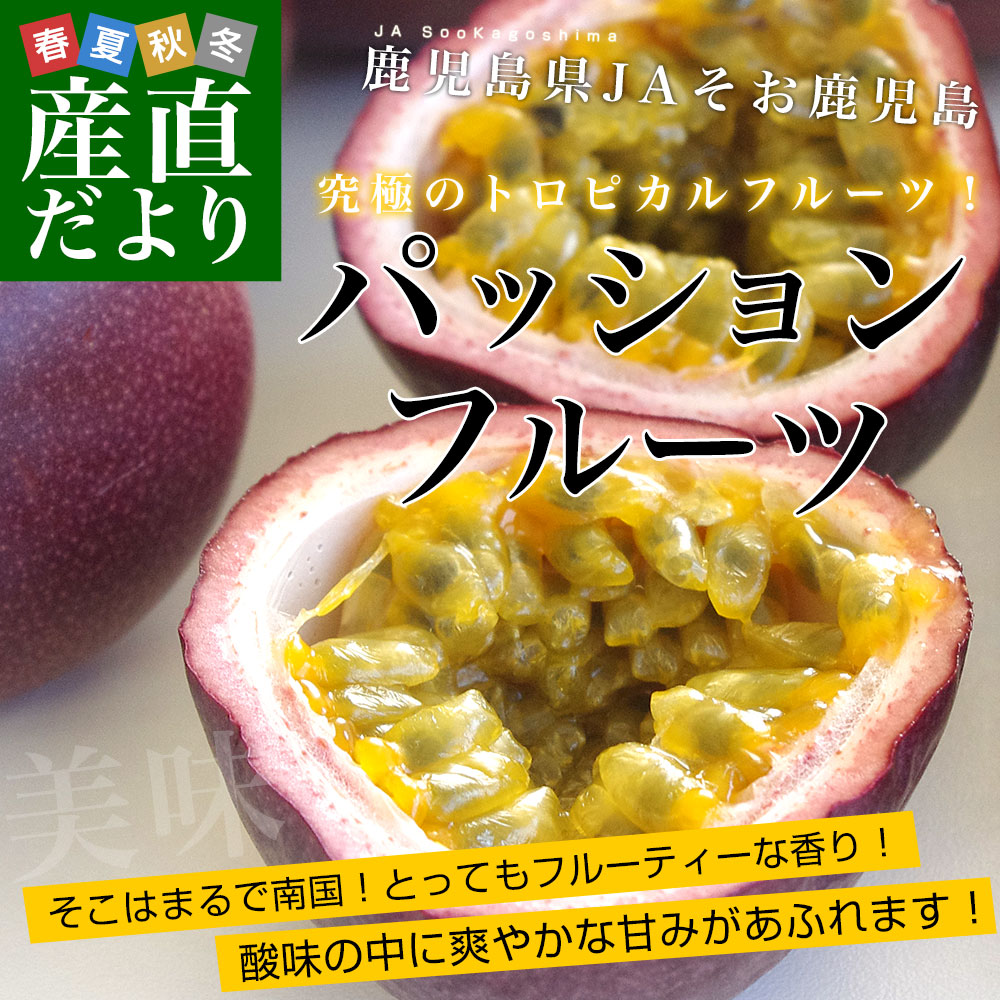 鹿児島県より産地直送 JAそお鹿児島 パッションフルーツ 2Lから3L